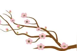 香河历史【并乡扩镇后概况（蒋辛屯镇）】图片
