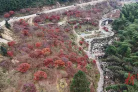 蓝山县这个村开启“景村融合”发展模式，村民端上“生态碗”、吃上“旅游饭”图片