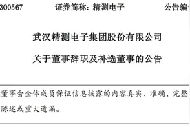 武汉精测电子集团股份有限公司董事Sheng Sun（孙胜）辞职图片