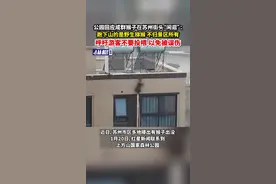 公园回应成群猴子在苏州街头“闲逛”：跑下山的是野生猕猴，不归景区所有，呼吁游客不要投喂，以免被误伤图片