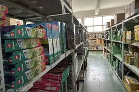 “双12”订单猛增，最多一天有2000单！松江这家玩具销售企业靠这一招实现“脱颖而出”图片