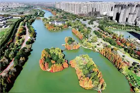 阜阳颍上五里湖层林尽染 美如画卷图片