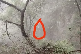 退休教授爬山意外坠崖失联，救援队：悬崖很高，找到时已去世。图片