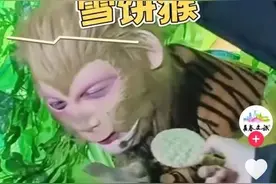 趴着上班只负责吃，这只“猴”凭啥火出圈？图片