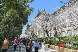 春日CP发力，武汉交警携公交集团，教你玩转赏樱与汉马图片