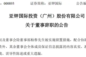 亚钾国际投资（广州）股份有限公司董事薛跃冬辞职图片