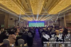 老河口市举行“翔鹤楼”区域公用品牌发布系列活动图片