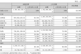 露笑科技上半年同比扭亏为盈 碳化硅项目投资进度不到3%图片