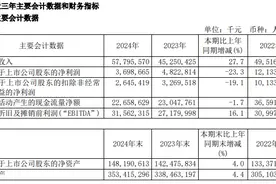 V观财报｜中芯国际2024年净利润同比降23.3%：拟不进行利润分配图片