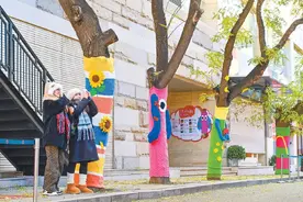 锐评｜大树“穿”毛衣！为冬日城市增添艺术活力图片