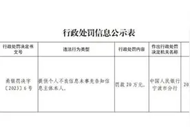 提供个人不良信息未事先告知信息主体  宁银消费金融被罚20万图片