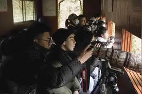 三明明溪：生态激活乡村美  观鸟带动旅游热图片