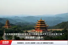 文旅部部长：2024年入境游客1.32亿人次 花费接近千亿美元视频封面