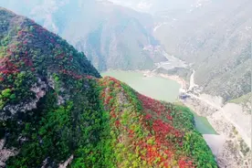 视频｜咸阳泾阳：郑国渠畔秋意浓 一起云赏缤纷秋色图片