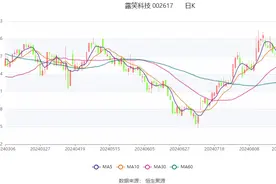 露笑科技：2024年上半年净利润1.80亿元 同比增长62.08%图片