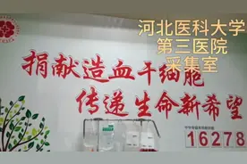 95后造血干细胞捐献者：这是一件好事，也是一件平常事图片