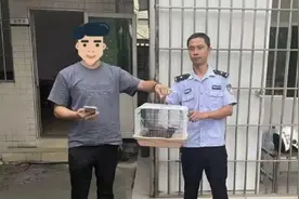 工人捡到一只神似走地鸡的大鸟 于是买来了笼子……图片