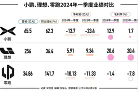 “新势力”不安分的一季报：理想减速零跑承压小鹏翻身，还剩蔚来战战兢兢图片