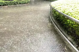 广州启动暴雨三级应急响应！雨带移动有“列车效应”降雨持续图片