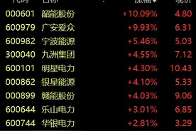 电力板块震荡拉升，韶能股份、广安爱众涨停图片