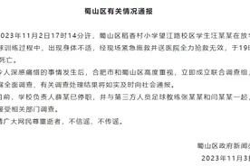 一小学生在足球训练中身体不适，经抢救无效死亡，官方通报图片