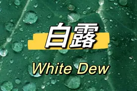 双语丨白露：蒹葭苍苍，白露为霜图片