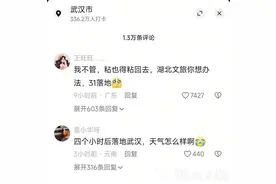 一夜风雨后，武汉的樱花换了风景图片
