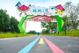 江苏扬州：一条“网红路”，串起“有品”的特色田园乡村图片