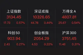 全线飙涨！“吃药”原因找到了图片