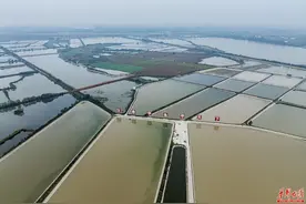 常德是个好地方|从餐桌到全产业链，汉寿甲鱼续写“甲天下”传奇图片