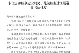 芜湖城南过江隧道有名字了——芜湖龙湾长江隧道图片
