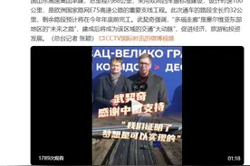 武契奇：塞尔维亚很多成就都要归功于中塞两国深厚友谊图片