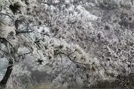 下半年来最冷周末来袭！福州可能会结冰！图片