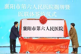襄阳市第六人民医院揭牌！“三大中心”共建开启图片