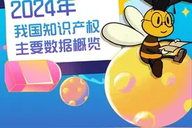 2024年我国知识产权主要数据概览，图个明白！图片