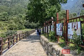 “千里跃进大别山”鄂豫皖媒体行|这座山上分布着七十多座红军洞，洞里藏着大别山区红旗28年不倒的秘密图片