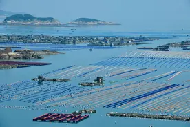 连江黄岐半岛海域：福州新增一处国家级海洋牧场图片