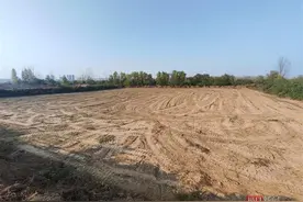 残疾村民租地种药材被毁，难道真的毫无线索？图片
