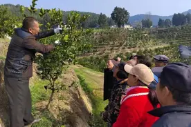 科技专家走进田间地头，“手把手”培训农村致富能手图片