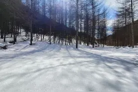 下雪啦！重庆开州雪宝山迎新春瑞雪图片