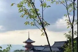 京都的风与景图片