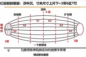 脉诊“读心术”，看齐向华的“系统辨证脉学”视频封面
