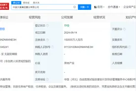 中国大唐成立置业公司 注册资本15亿图片