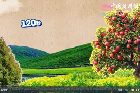 小生物引发环境大问题，120秒看中国做了这么多图片