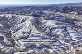 雪后的河北尚义坝上，好一派北国风光！图片