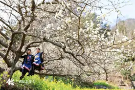 广西这个花海轻易别去！金海雪山，美到沦陷！图片