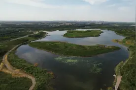 村民变身动物饲养员人均增收3万元 湿地修复让村民吃上“生态饭”图片
