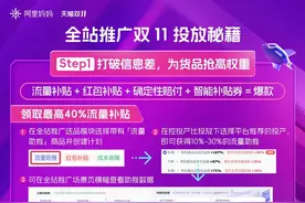 为什么说阿里妈妈全站推广，将是今年双11的重头戏？图片