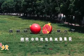 荆州新晋“村游”网红打卡地，来“共享菜地”做农场主！图片