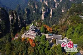 张家界武陵源：秋高气爽 中外游人赏峰林尽染图片